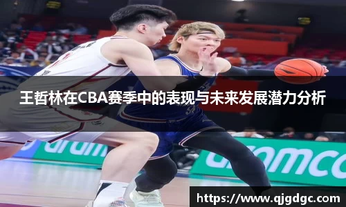 雷竞技raybet官网